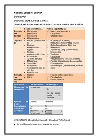 NOMBRE: JOSELYN CUENCA
CURSO: VO1
DOCENTE: BIOQ. CARLOS GARCIA
DIFERENCIAS Y SEMENJANZAS ENTRE CELULAS EUCARIOTA Y PROCARIOTA

Estructu
ras
básicas
Orgánul
os

Célula animal típica
Célula vegetal típica
Membrana
Membrana plasmática
plasmática
Citoplasma
Citoplasma
Citoesqueleto
Citoesqueleto
Núcleo (con Nucléol
Núcleo (con Nucléolo)
o)
Retículo endoplasmático rugoso
Retículo
Retículo endoplasmático liso
endoplasmático
Ribosomas
rugoso
Aparato de Golgi (Dictiosomas)
Retículo
Mitocondria
endoplasmático liso
Vesículas
Ribosomas
Lisosomas
Aparato de Golgi
Vacuola central (con Tonoplasto)
Mitocondria
Plastos (Cloroplastos, Leucoplastos,
Vesículas
Cromoplastos)
Lisosomas
Microcuerpos (Peroxisomas, Glioxiso
Centrosoma (con Ce
mas)
ntriolos)
Peroxisoma
Flagelo
Flagelo (sólo en gametos)
Cilios
Pared celular
Plasmodesmos

Estructu
ras
adiciona
les
Estructura
Célula animal
Membrana de No siempre
secrección

Célula vegetal
Sí.
Es la pared
celular
de
celulosa

Aparato
de
Golgi
Cloroplastos
Centriolos
Vacuolas

Grande
No
Sí
pequeñas
numerosas

Pequeño
Sí
No
y grandes
escasas

y

DIFERENCIAS CELULAS ANIMALES | CELULAS VEGETALES |
Amimal Presenta una membrana celular simple.

 