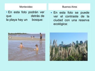 Montevideo                   Buenos Aires

• En esta foto podrán ver      En esta foto se puede
que             detrás de       ver el contraste de la
la playa hay un bosque:         ciudad con una reserva
                                ecológica:
 