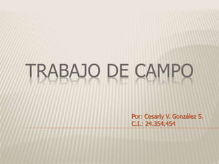 TRABAJO DE CAMPO 
Por: Cesarly V. González S. 
C.I.: 24.354.454 
 