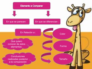 En que se parecen:         En que se diferencian :



             En Relación a :
                                                     Color


    Que quiero
 conocer de estos
    elementos:                                       Forma



    Conclusiones
 realizadas posterior                                Tamaño
  a la comparación
 