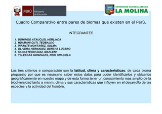 Cuadro Comparativo entre pares de biomas que existen en el Perú.

                                     INTEGRANTES
  1.   DOMINGO ATAUCUSI, HERLINDA
  2.   HUAMANI CUTI, TEOBALDO
  3.   INFANTE MONTAÑEZ, SULMA
  4.   OLIVERA HERNADEZ, BERTHA LUCERO
  5.   SAGASTEGUI DIAZ, MARLENI
  6.   YLLESCAS GONZALES, NERI GRACIELA




Los tres criterios e comparación son la latitud, clima y características; de cada bioma
propuesto por que es necesario saber estos datos para poder identificarlos y ubicarlos
geográficamente en nuestro mapa y de esta forma tener un conocimiento mas amplio de la
biodiversidad tanto a msnm, clima y sus características que influyen en el desarrollo de las
especies y la actividad del hombre.
 