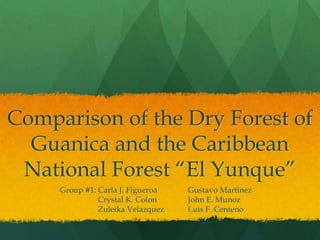 Comparison of the Dry Forest of
  Guanica and the Caribbean
 National Forest “El Yunque”
     Group #1: Carla J. Figueroa   Gustavo Martinez
               Crystal K. Colon    John E. Munoz
               Zuleika Velazquez   Luis F. Centeno
 
