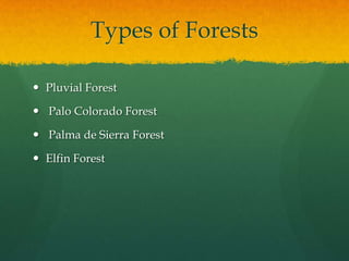 Types of Forests

 Pluvial Forest

 Palo Colorado Forest

 Palma de Sierra Forest

 Elfin Forest
 