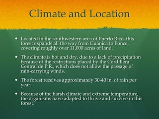 Climate and Location

 Located in the southwestern area of Puerto Rico, this
  forest expands all the way from Guánica to Ponce,
  covering roughly over 11,000 acres of land.
 The climate is hot and dry, due to a lack of precipitation
  because of the restrictions placed by the Cordillera
  Central de P.R., which does not allow the passage of
  rain-carrying winds.
 The forest receives approximately 30-40 in. of rain per
  year.
 Because of the harsh climate and extreme temperature,
  the organisms have adapted to thrive and survive in this
  forest.
 