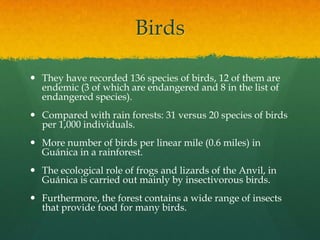 Birds

 They have recorded 136 species of birds, 12 of them are
  endemic (3 of which are endangered and 8 in the list of
  endangered species).
 Compared with rain forests: 31 versus 20 species of birds
  per 1,000 individuals.
 More number of birds per linear mile (0.6 miles) in
  Guánica in a rainforest.
 The ecological role of frogs and lizards of the Anvil, in
  Guánica is carried out mainly by insectivorous birds.
 Furthermore, the forest contains a wide range of insects
  that provide food for many birds.
 