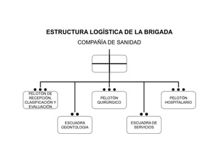 PELOTÓN DE
RECEPCIÓN,
CLASIFICACIÓN Y
EVALUACIÓN
ESCUADRA
ODONTOLOGIA
PELOTÓN
HOSPITALARIO
ESTRUCTURA LOGÍSTICA DE LA BRIGADA
COMPAÑÍA DE SANIDAD
ESCUADRA DE
SERVICIOS
PELOTÓN
QUIRÚRGICO
 