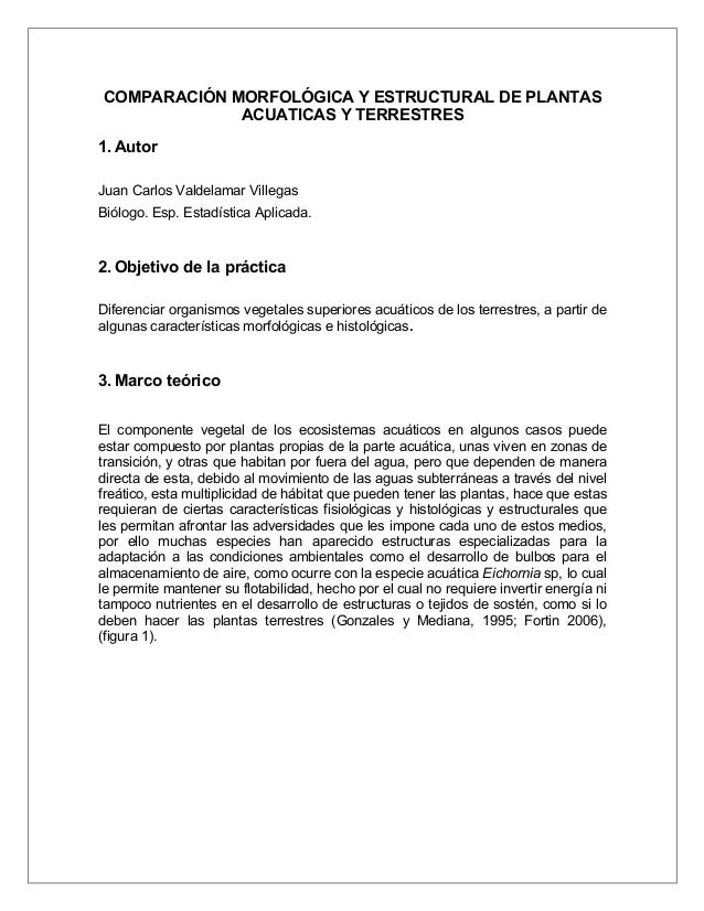 Comparacion Morfologica Y Estructural De Plantas Acuaticas Y Terrest