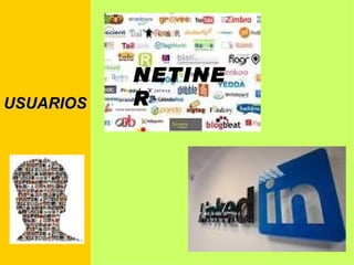 USUARIOS NETINER 