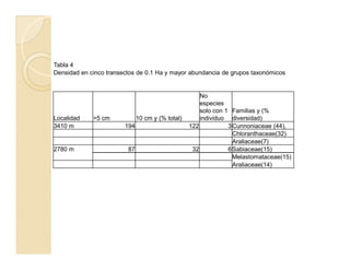 Tabla 4
Densidad en cinco transectos de 0.1 Ha y mayor abundancia de grupos taxonómicos
Localidad >5 cm 10 cm y (% total)
No
especies
solo con 1
individuo
Familias y (%
diversidad)
3410 m 194 122 3Cunnoniaceae (44),
Chloranthaceae(32)
Araliaceae(7)
2780 m 87 32 6Sabiaceae(15)
Melastomataceae(15)
Araliaceae(14)
 