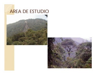 AREA DE ESTUDIOAREA DE ESTUDIO
 