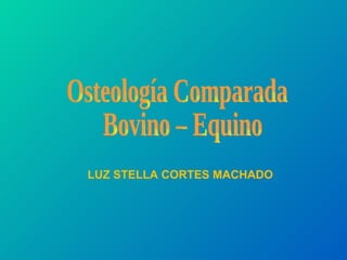 Osteología Comparada Bovino – Equino LUZ STELLA CORTES MACHADO 