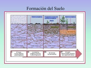  AtmósferaPerfil Interior del Planeta – Dinámica del Manto