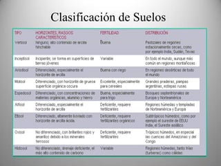 Desarrollo del Suelo – Horizontes