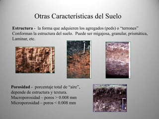 Texturas de SueloTriángulo de Textura