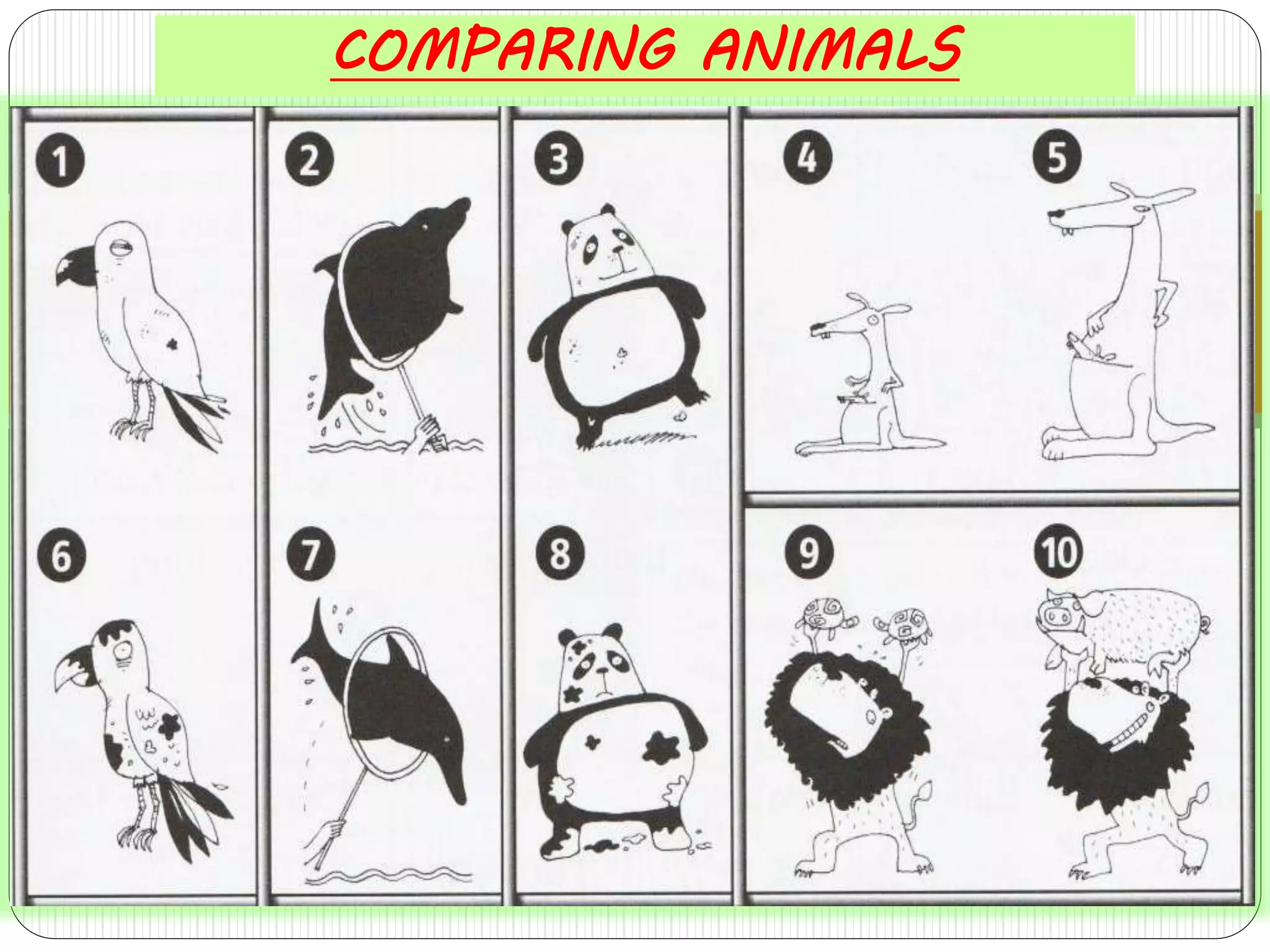 COMPARING ANIMALS