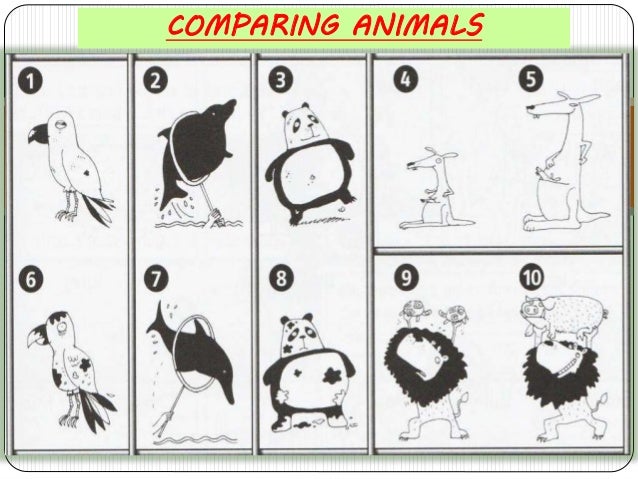 Animal activities for students picture