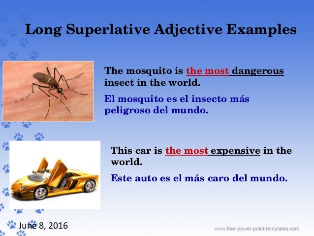 Resultado de imagen para superlative examples