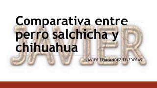 Comparativa entre
perro salchicha y
chihuahua
JAVIER FERNANDEZ TEJEDERAS
 