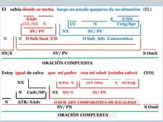 Él sabía dónde se metía luego no puede quejarse de su situación (ÉL)
SAdv E T/SN
CCL/NX N CC N Crég/Spr
N N O Sub Sust /CD O Sub Adv Consecutiva
SN/S SV/ PV S Omit
ORACIÓN COMPUESTA
Estoy igual de calvo que mi padre con mi edad (estaba calvo) (YO)
NX D/Pos N CCT /SPre N AT/SAdj
N Cadv/SP NX SN/ S SV/ PN
N ATR/ SAdv
SV/ PN S Omit
SV/ PV NX SV/ PV
ORACIÓN COMPUESTA
O SUB ADV COMPARATIVA DE IGUALDAD
 