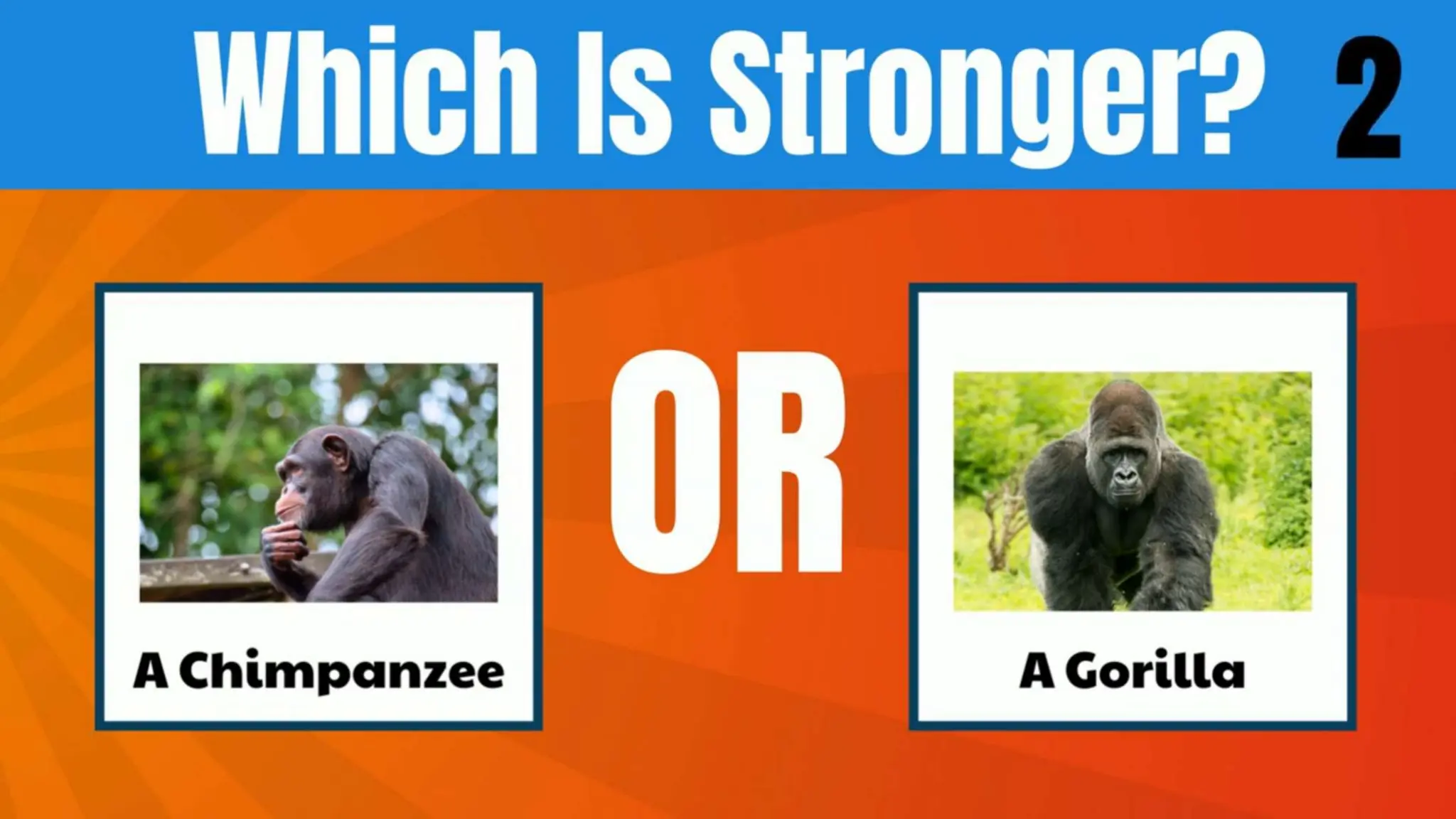 Comparative adjectives powerpoint lesson pptx free download