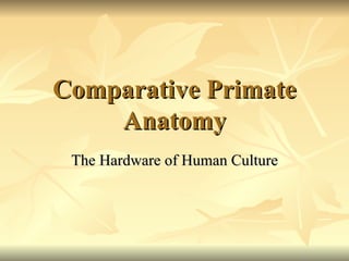 Comparative Primate Anatomy The Hardware of Human Culture 