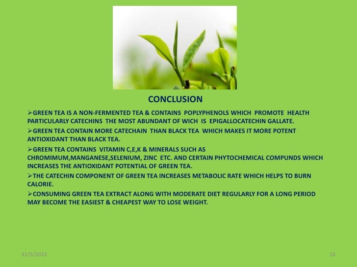 essay on green tea