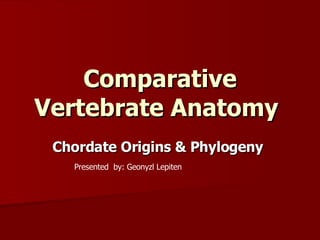 Comparative Vertebrate Anatomy   Chordate Origins & Phylogeny   Presented  by: Geonyzl Lepiten 