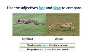 Comparative Aadjectives. comparing with adjectives | PPTX