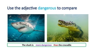 Scariest Comparative Comparative Aadjectives. comparing with adjectives | PPTX