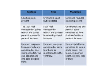 Crenium Reed Comparative account of axial and appendicular skeleton of amniots | PPTX