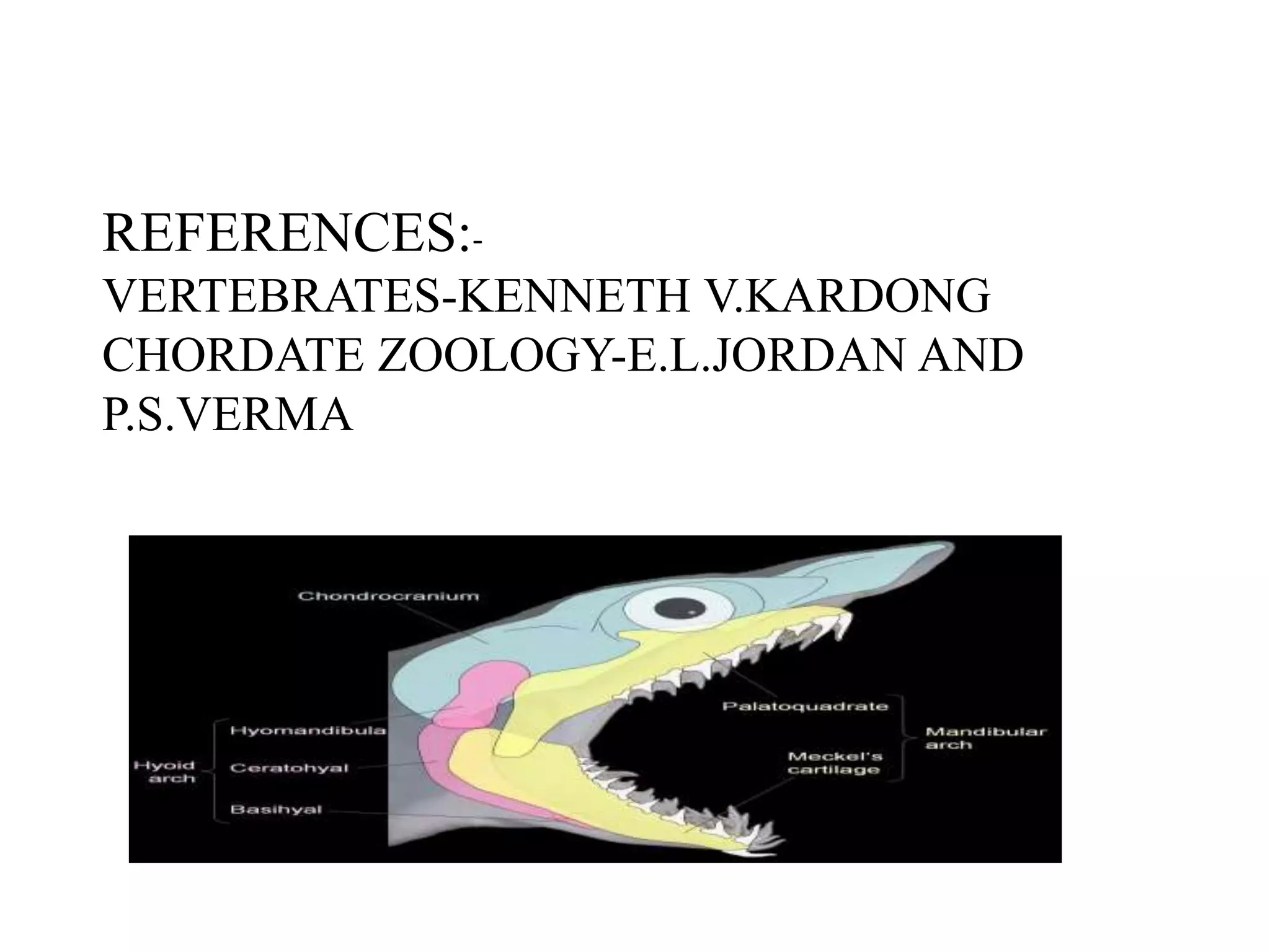 REFERENCES:VERTEBRATES-KENNETH V.KARDONG
CHORDATE ZOOLOGY-E.L.JORDAN AND
P.S.VERMA

 