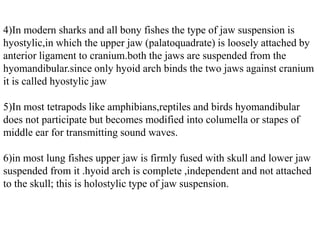 4)In modern sharks and all bony fishes the type of jaw suspension is
hyostylic,in which the upper jaw (palatoquadrate) is loosely attached by
anterior ligament to cranium.both the jaws are suspended from the
hyomandibular.since only hyoid arch binds the two jaws against cranium
it is called hyostylic jaw
5)In most tetrapods like amphibians,reptiles and birds hyomandibular
does not participate but becomes modified into columella or stapes of
middle ear for transmitting sound waves.
6)in most lung fishes upper jaw is firmly fused with skull and lower jaw
suspended from it .hyoid arch is complete ,independent and not attached
to the skull; this is holostylic type of jaw suspension.

 