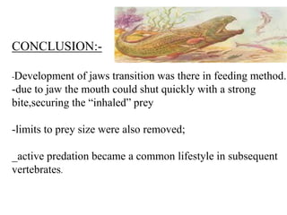 CONCLUSION:-Development

of jaws transition was there in feeding method.
-due to jaw the mouth could shut quickly with a strong
bite,securing the “inhaled” prey
-limits to prey size were also removed;
_active predation became a common lifestyle in subsequent
vertebrates.

 
