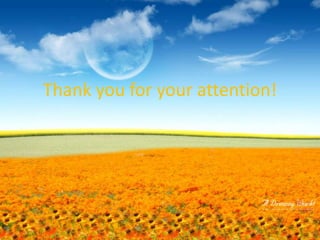 Thank you for your attention!
 