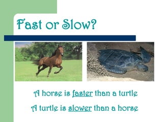 Fast or Slow?
A horse is faster than a turtle
A turtle is slower than a horse
 