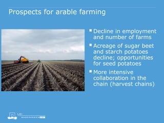 Prospects for arable farming
Decline in employment
and number of farms
Acreage of sugar beet
and starch potatoes
decline; opportunities
for seed potatoes
More intensive
collaboration in the
chain (harvest chains)
 