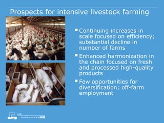Prospects for intensive livestock farming
Continuing increases in
scale focused on efficiency;
substantial decline in
number of farms
Enhanced harmonization in
the chain focused on fresh
and processed high-quality
products
Few opportunities for
diversification; off-farm
employment
 