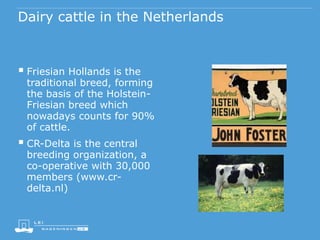 Dairy cattle in the Netherlands
 Friesian Hollands is the
traditional breed, forming
the basis of the Holstein-
Friesian breed which
nowadays counts for 90%
of cattle.
 CR-Delta is the central
breeding organization, a
co-operative with 30,000
members (www.cr-
delta.nl)
 