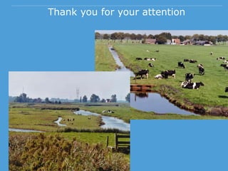 Thank you for your attention
 