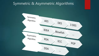 Comparative analysis of algorithms | PPTX | Computer Software and ...