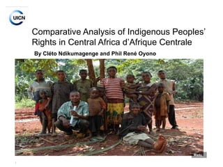 Comparative Analysis of Indigenous Peoples’ Rights in Central Africa d’Afrique Centrale   By Cléto Ndikumagenge and Phil René Oyono  (Cameroun et Grands Lacs)  © intu 