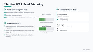 Comparative Analysis of Nanopore and Illumina Whole Genome Sequencing ...