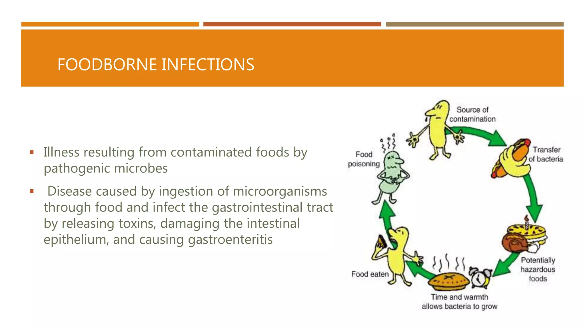 Food Intoxication Algorithm Comparative analysis on food infections and food intoxications | PPT