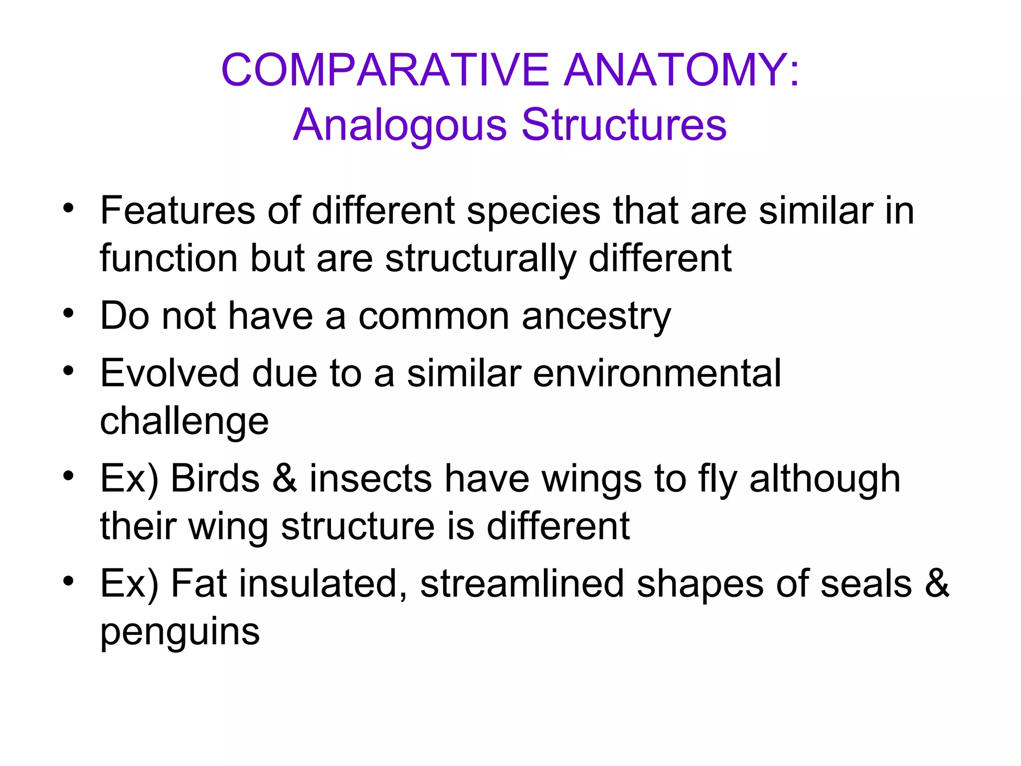 Comparative Anatomy | PPT | Dental Health | Diseases and Conditions