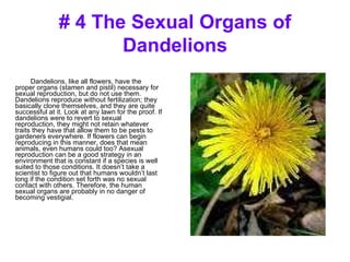 # 4 The Sexual Organs of Dandelions Dandelions, like all flowers, have the proper organs (stamen and pistil) necessary for sexual reproduction, but do not use them. Dandelions reproduce without fertilization; they basically clone themselves, and they are quite successful at it. Look at any lawn for the proof. If dandelions were to revert to sexual reproduction, they might not retain whatever traits they have that allow them to be pests to gardeners everywhere. If flowers can begin reproducing in this manner, does that mean animals, even humans could too? Asexual reproduction can be a good strategy in an environment that is constant if a species is well suited to those conditions. It doesn’t take a scientist to figure out that humans wouldn’t last long if the condition set forth was no sexual contact with others. Therefore, the human sexual organs are probably in no danger of becoming vestigial. 