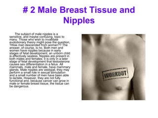 # 2 Male Breast Tissue and Nipples The subject of male nipples is a sensitive, and maybe confusing, topic to many. Those who wish to invalidate evolutionary theory might pose the question, ?Was man descended from woman?? The answer, of course, is no. Both men and women have nipples because in early stages of fetal development, an unborn child is effectively sexless. Nipples are present in both males and females; it is only in a later stage of fetal development that testosterone causes sex differentiation in a fetus. All mammals, male and female, have mammary glands. Male nipples are vestigial; they may perform a small role in sexual stimulation and a small number of men have been able to lactate. However, they are not fully functional and, because cancer can grow in male or female breast tissue, the tissue can be dangerous. 