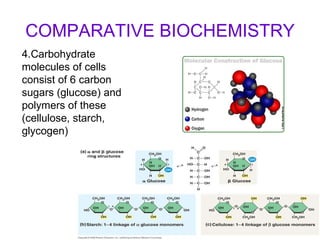 COMPARATIVE BIOCHEMISTRY 4.Carbohydrate molecules of cells consist of 6 carbon sugars (glucose) and polymers of these (cellulose, starch, glycogen) 
