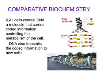COMPARATIVE BIOCHEMISTRY 6.All cells contain DNA, a molecule that carries coded information controlling the metabolism of the cell. DNA also transmits the coded information to new cells 