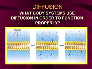 DIFFUSION
WHAT BODY SYSTEMS USE
DIFFUSION IN ORDER TO FUNCTION
PROPERLY?
 