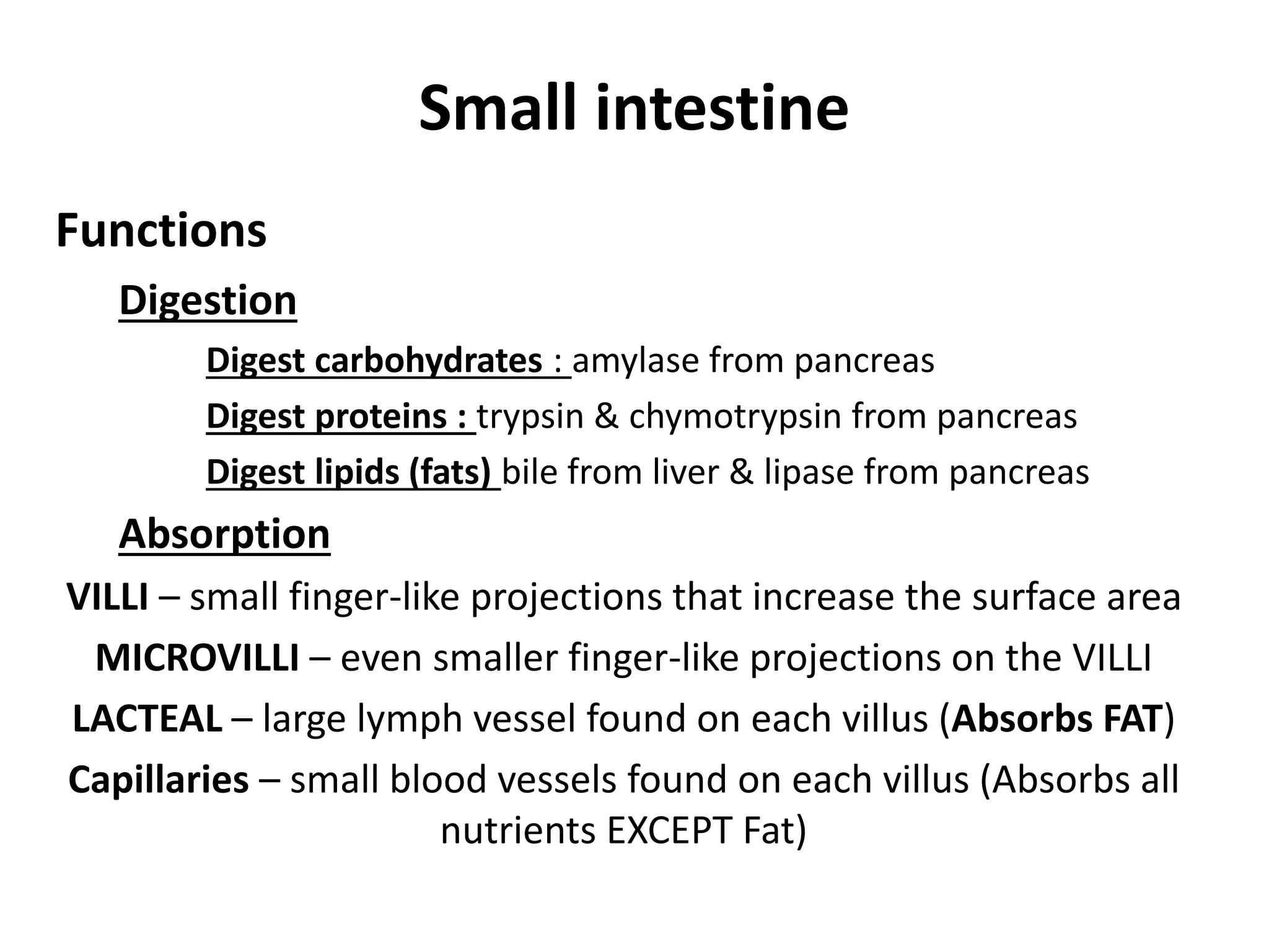 Small intestine
Functions
Digestion
Digest carbohydrates : amylase from pancreas
Digest proteins : trypsin & chymotrypsin from pancreas
Digest lipids (fats) bile from liver & lipase from pancreas
Absorption
VILLI – small finger-like projections that increase the surface area
MICROVILLI – even smaller finger-like projections on the VILLI
LACTEAL – large lymph vessel found on each villus (Absorbs FAT)
Capillaries – small blood vessels found on each villus (Absorbs all
nutrients EXCEPT Fat)
 